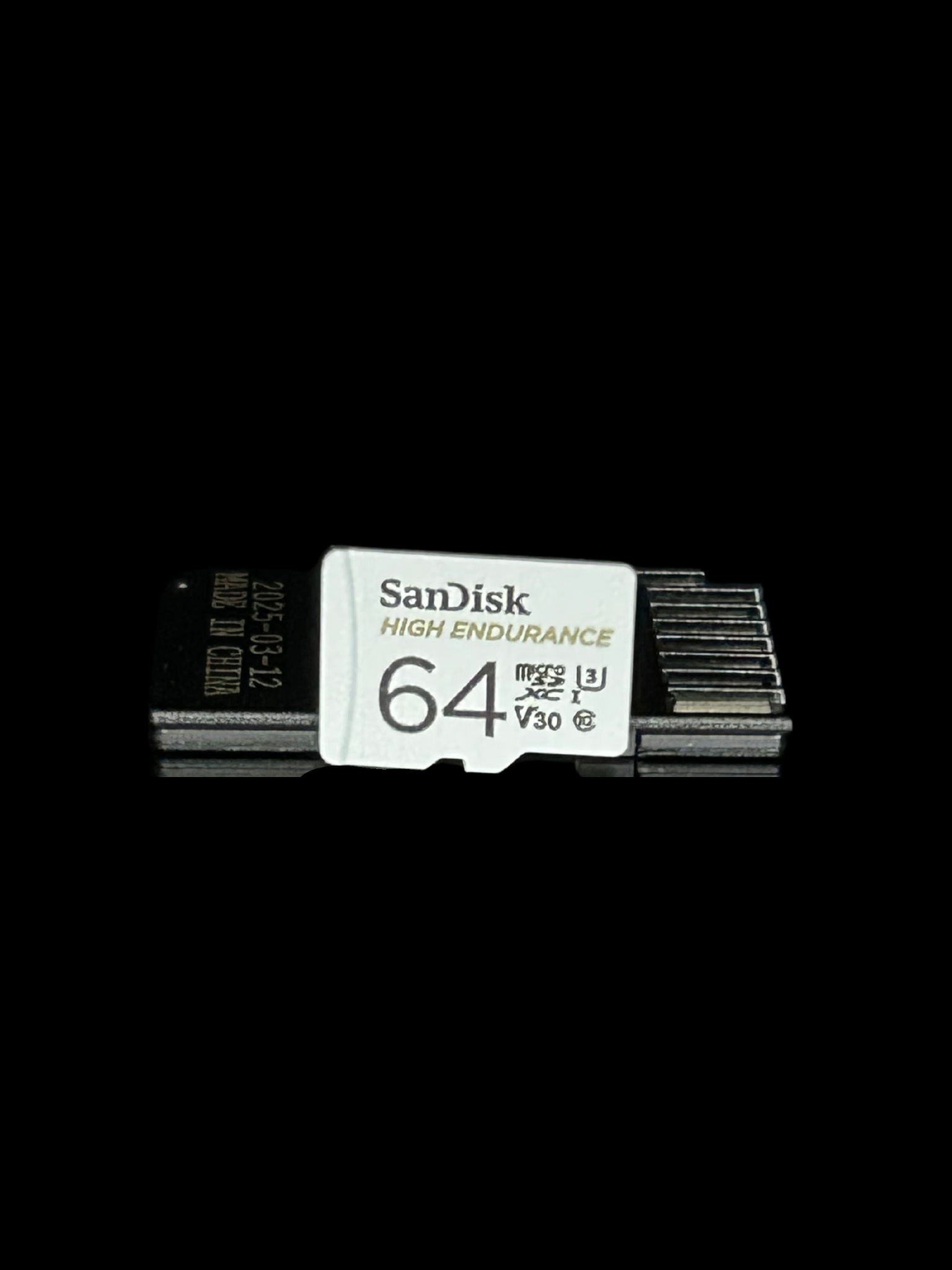 Micro SD-kaart (SanDisk High Endurance)